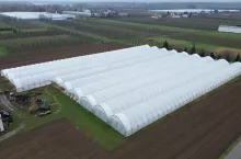 Maliny w tunelu zblokowanym