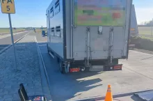 Kontrola ITD wykazała, że transport z cielakami był sporo przeładowany.