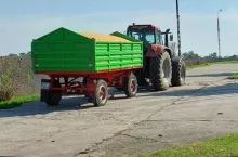 Jakie są ceny skupu zbóż i rzepaku?