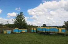 Pasieka wędrowna