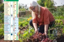 Kalendarz biodynamiczny na maj 2025: kiedy siać marchew i sadzić pomidory?