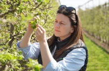 zwalczanie pordzewiacza