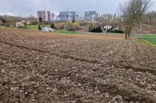 Wieś czy miasto?