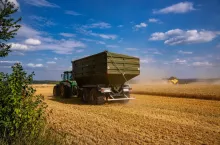 Combine harvester harvesting ripe wheat. Harvesting in Ukraine during the war and the world crisis for grain.