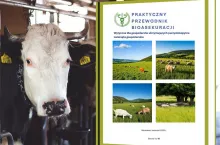 Pryszczyca: od czego zacząć bioasekurację gospodarstwa? [Pobierz PORADNIK GLW]