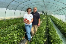 Agnieszka i Michał Leleń, Truskawka od Rolnika