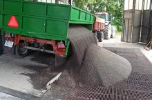 Ceny rzepaku na żniwa 2025 wyższe nawet o 40 zł. Jakie są stawki?