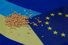 Grains. Wheat. European Union Flag. Ukraine flag. Copy space.
