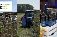 Samozbiory aronii, zbiór maszynowy aronii, domowe przetwory z aronii - aronia oferuje wiele możliwości.