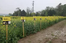 Platforma Rapool Experience w miejscowości Godurowo.