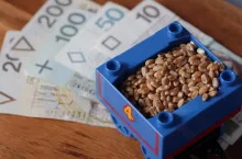 Jakie są ceny zbóż i rzepaku na koniec kwietnia 2025?