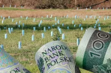 Dotacje do lasów dla rolników: ile na zalesienie, ile na zadrzewienia śródpolne?