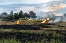Wypalanie traw grozi surowymi karami