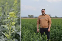 Rolnik z Żuław oszczędza czas i paliwo. Ale plony ma świetne. ”Nawet 10 t pszenicy z hektara”