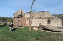Rolnicy chcą odbudować oborę, by krowy miały dach nad głową.