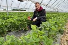 Mateusz Maruszewski, Farma Mój Owoc