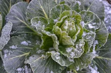 Zdjęcie ilustracyjne (Pixabay)