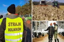Awans o 10 miejsc! Rolnicy znów wśród najbardziej cenionych zawodów