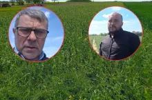 Dramat rolników spod Piotrkowa. ”Wsadzili pieniądze w plon, którego nie zbiorą”