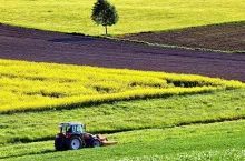 Dopłaty do ugorowania: ile lat ugór może być na tym samym gruncie?