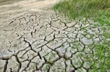 Katastrofa na polach. Rolnicy tracą 28 miliardów euro przez pogodę