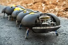 Robo-robak na chwasty
