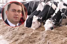 Dopłaty dla rolników ruszyły z kopyta. 250 mln zł już na kontach. Kiedy reszta?