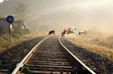 586057