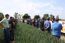 Zielone Pola Osadkowski Dłoń 2025