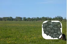 904020