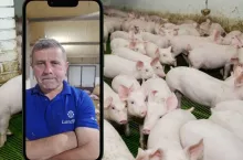 Sytuacja na rynku trzody chlewnej