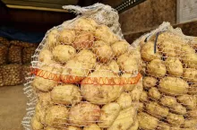 Ziemniaki w workach Bronisze