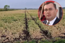 Na jaką pomoc mogą liczyć rolnicy? Wiceminister wyjaśnia