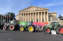 Ciągniki rolnicze ustawione przed Zgromadzeniem Narodowym w Paryżu podczas protestu organizowanego przez federację FNSEA i organizację CGB. Francuscy rolnicy wyrażają sprzeciw wobec planowanej umowy handlowej UE–Mercosur, wskazując na zagrożenia dla sektora buraka cukrowego. Na transparentach widnieje hasło ”Betterave sucrière en péril” – ”Burak cukrowy w niebezpieczeństwie”.
