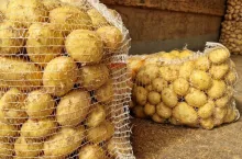 Młode krajowe ziemniaki