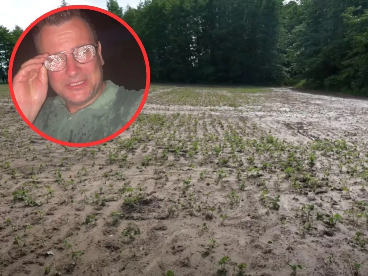 Bardowski pokazuje, co zrobił grad. ”Buraka i soję poszatkowało”