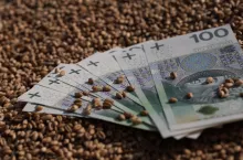 Ile pszenicy trzeba sprzedać, żeby kupić 1 ha ziemi, a ile trzeba było sprzedać 10 lat temu?