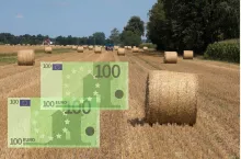 Pieniądze, słoma na polu