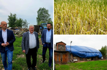 5000 ha upraw zniszczone, rolnicy z Mazowsza zdruzgotani. Minister szykuje plan ratunkowy