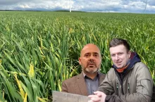 Rzepak zniszczony, firmy liczą po swojemu. Rolnicy przechodzą do działania  [WIDEO]