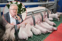 Produkcję trzody chlewnej mamy prowadzoną po zbyt wysokich kosztach, stąd przegrywamy konkurencję z Niemcami czy Danią – uważa minister Czesław Siekierski