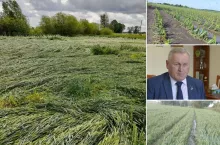 Gradobicie na Dolnym Śląsku