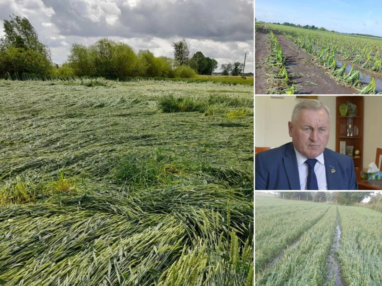 Gradobicie na Dolnym Śląsku