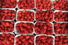 Owoce odmiany ‘Enrosadira‘ przygotowane do sprzedaży
