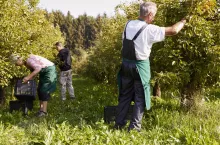 Na jakie umowy można zatrudnić pracownika w gospodarstwie? Zobacz, jakie są możliwości!