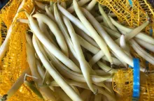 Fasolka szparagowa w worku