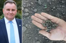 Rolnikom znikają całe plantacje. Wrócą wycofane opryski?