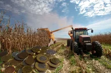 Rolnictwo się nie spina. 2300 zł straty na kukurydzy, jęczmień niewiele lepszy