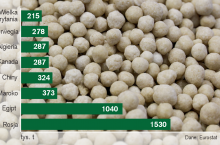 Rys. 1. Import nawozów do UE w I–III 2025 r.