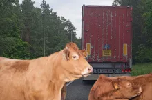 589843
